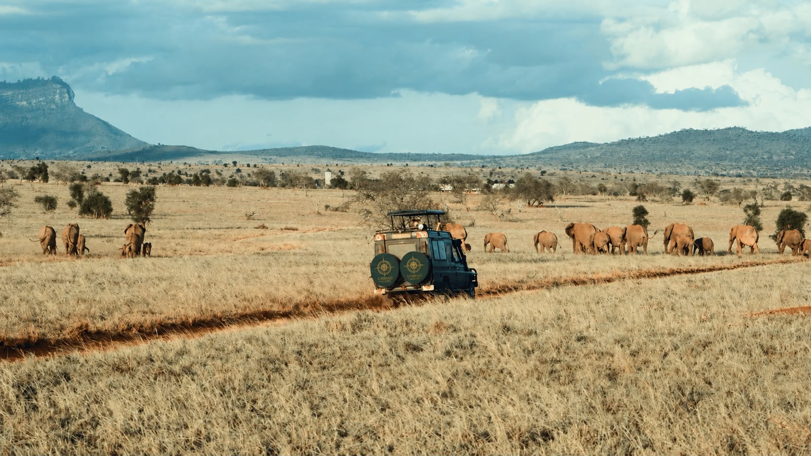 4 Days - Serengeti & Ngorongoro