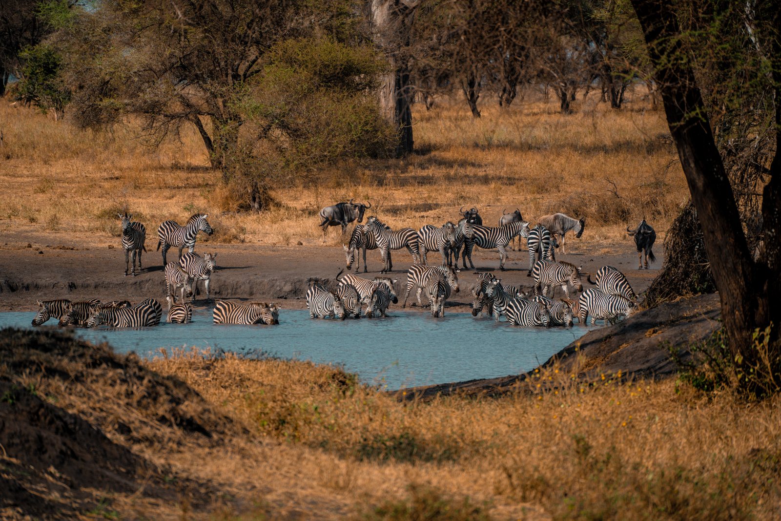 2 Days - Selous